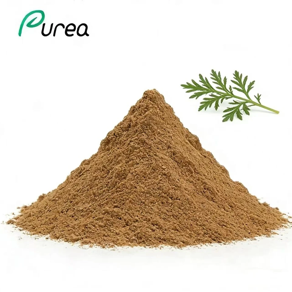 Artemisia Annua útdráttarduft